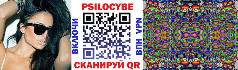 Галлюциногенные грибы Cubensis  Купить где  Обоянь 